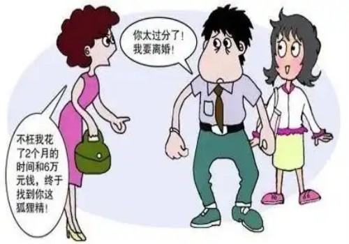 杭州侦探事务所：离婚女人想要孩子怎么办_2